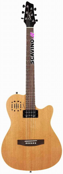 godin a6 ultra