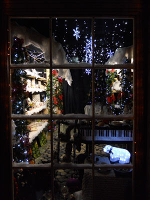 Imagini nuovo showroom Natale 2011