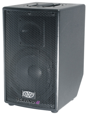 XXL STAGE8P Cassa amplificata in legno XXL 250W - Cassa amplificata STAGE 8P