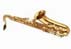 SAX Contralto Floret AL 306YM