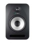 Tannoy Reveal 802 Monitor da Studio